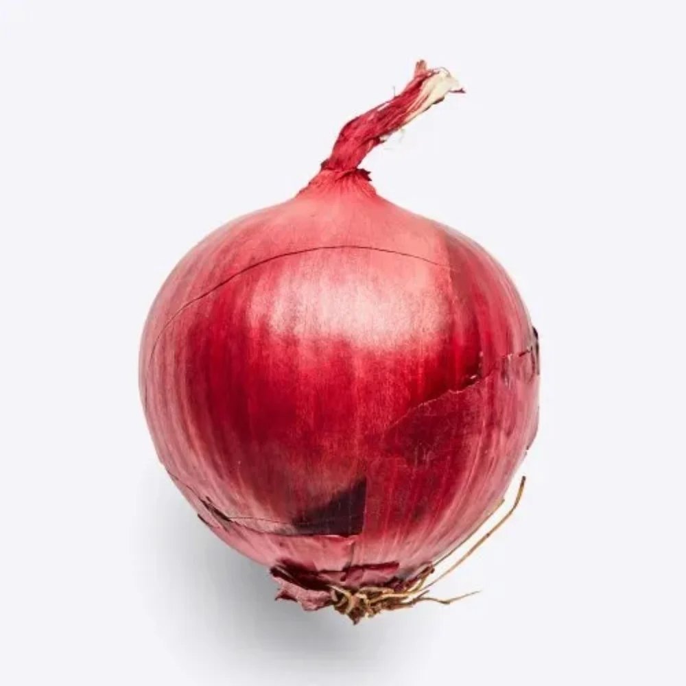 Onion (Red 65 mm+)
